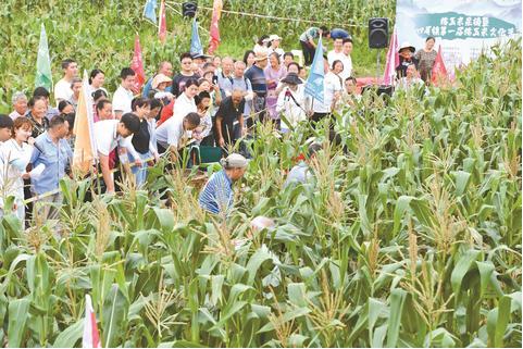 部門信息 重慶市江津區人民政府